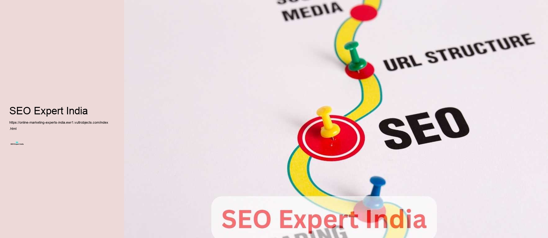 SEO Expert India